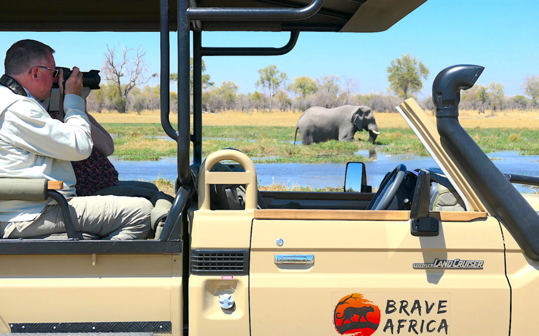 Brave Africa Safari Car Closeup