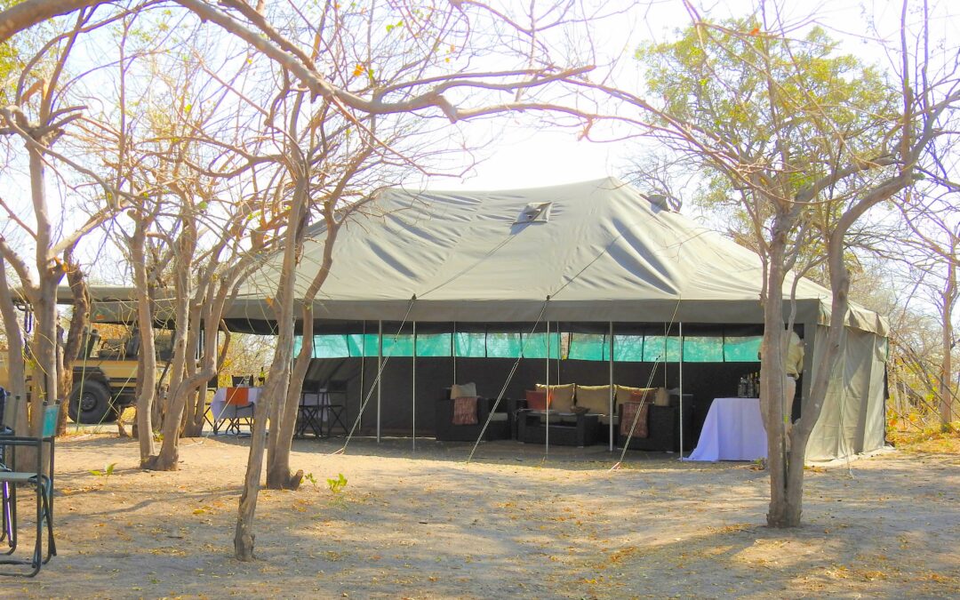 Main Tent with Brave Africa