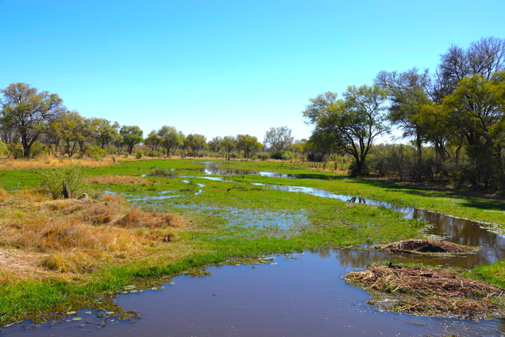 Botswana Khwai River