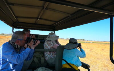 The Importance of Safari Guiding: 9 Reasons Bush Guides are Essential
