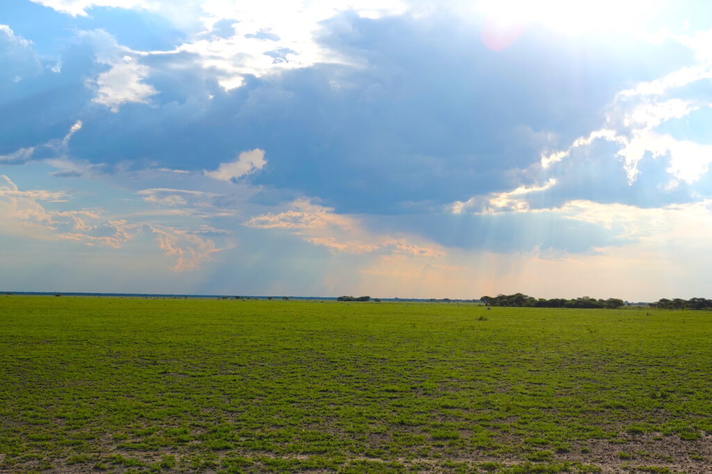 Rainy season in Botswana