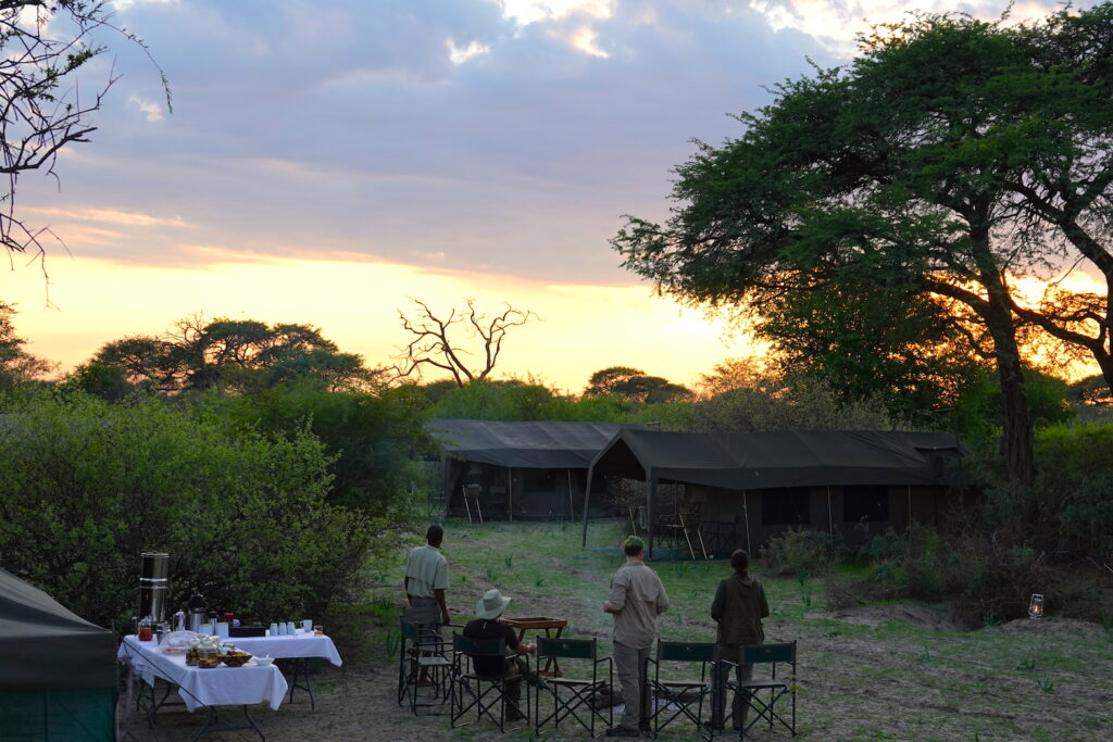 Botswana safari camp at sunrise