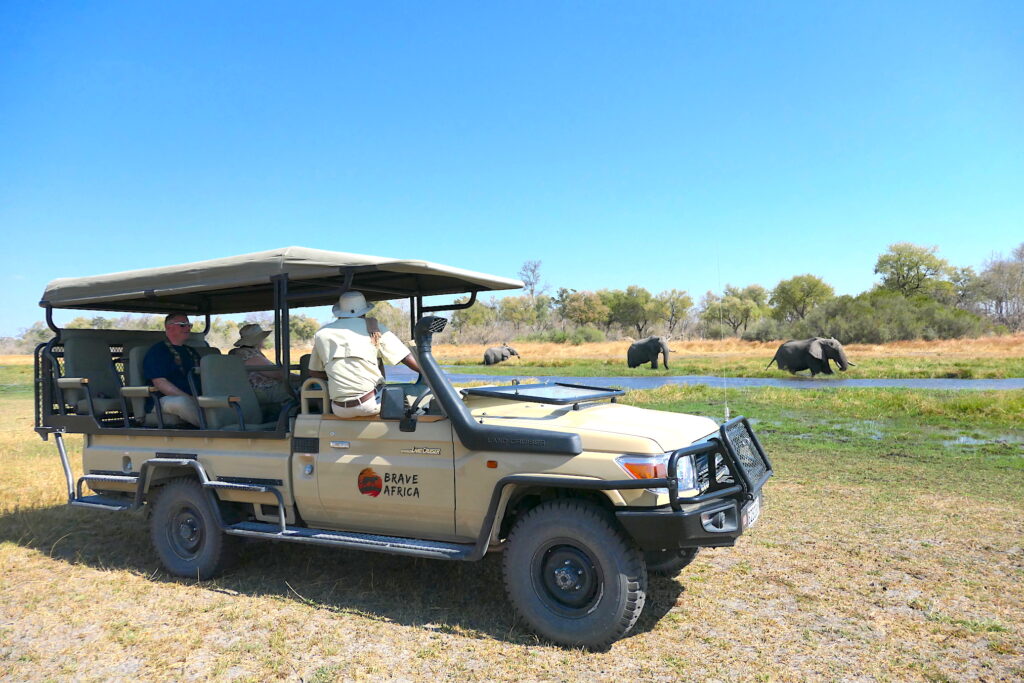 On Safari with Brave Africa