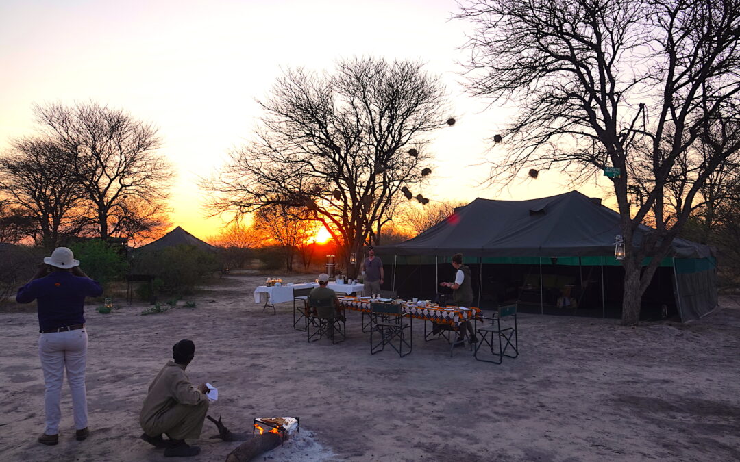 Brave Africa mobile safari camp