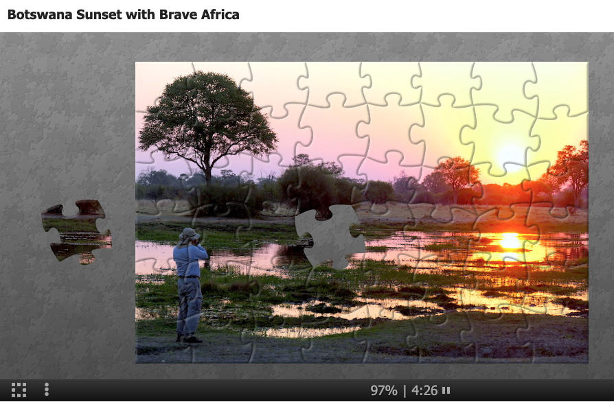 Brave Africa Safaris puzzle