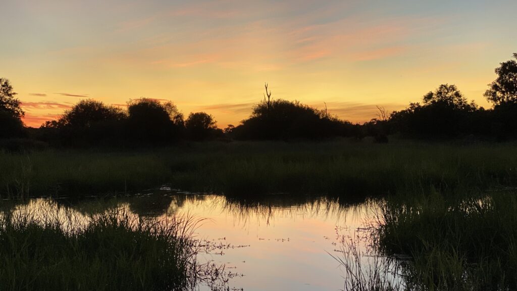 Botswana at sunset on safari