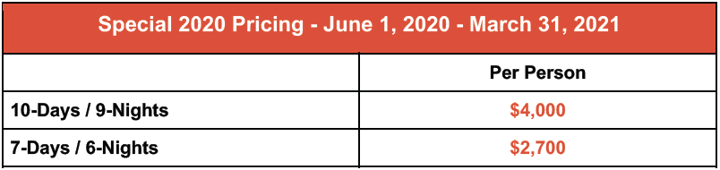 Special Brave Africa 2020 Pricing Table