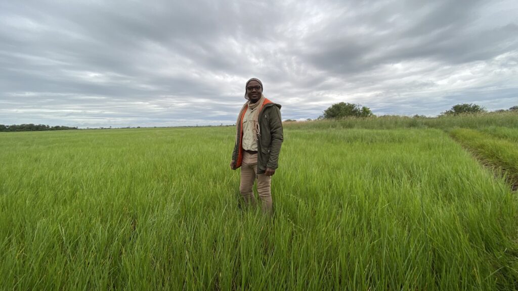 Tabona Wina in an Open Field on Safari