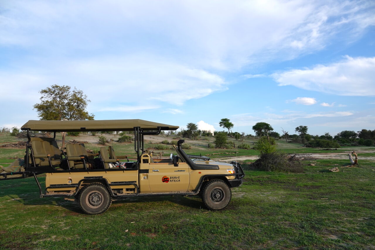 3 Incredible African Safari Holidays in Botswana - Brave Africa