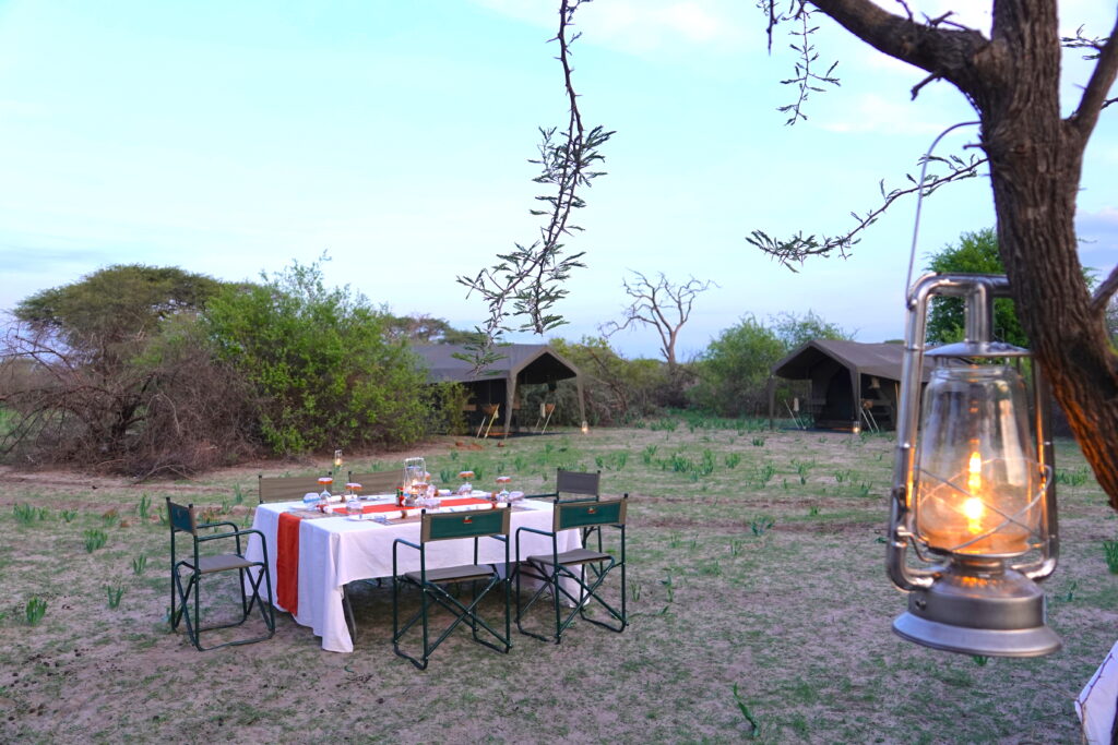 Dinner on an African Safari