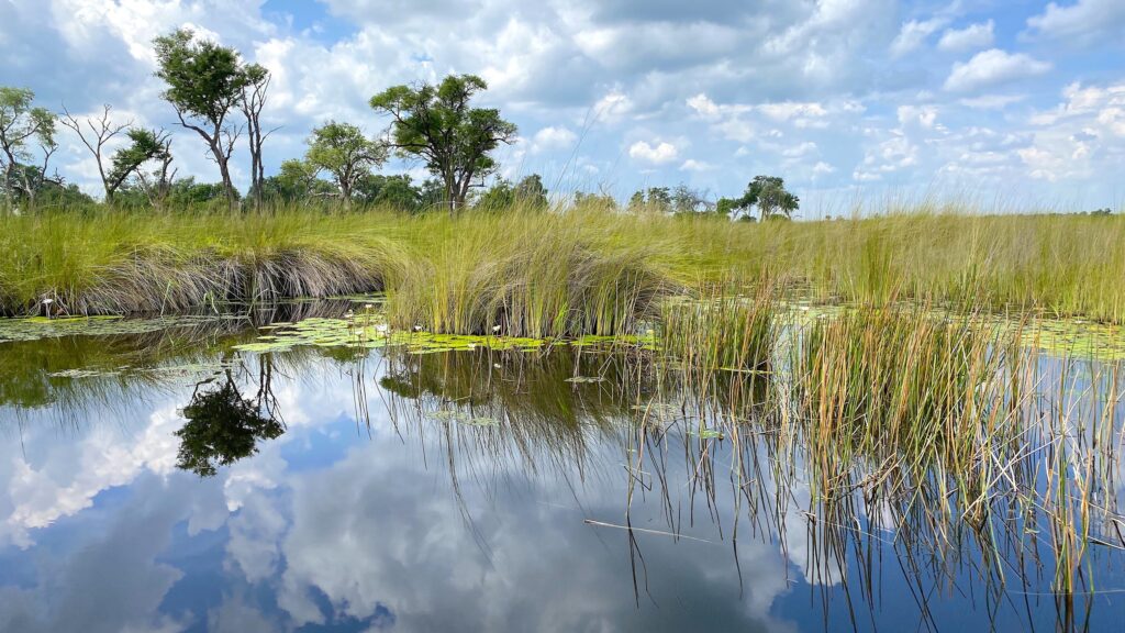 Botswana Green Season Flooding