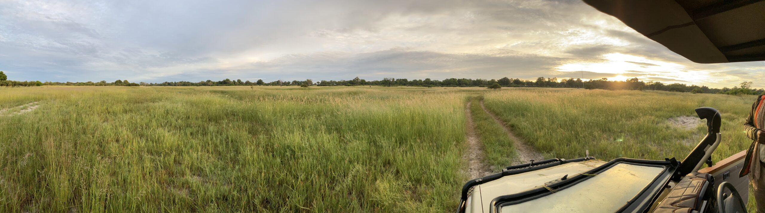 witness Botswana's landscapes with Brave Africa