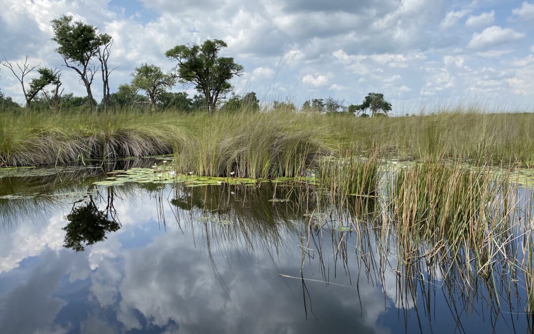 2024 Botswana Safari Okavango Delta Flood
