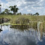 2024 Botswana Safari Okavango Delta Flood
