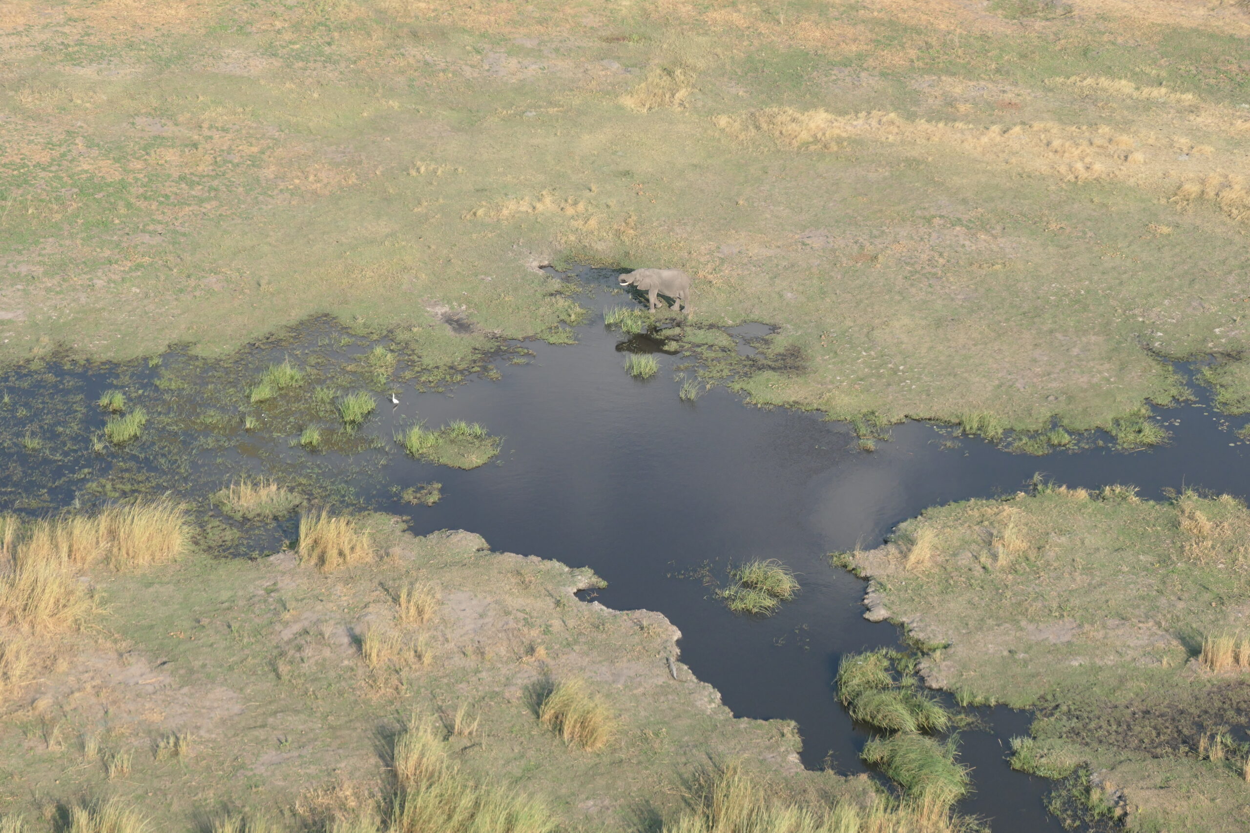 Botswana's Okavango Delta