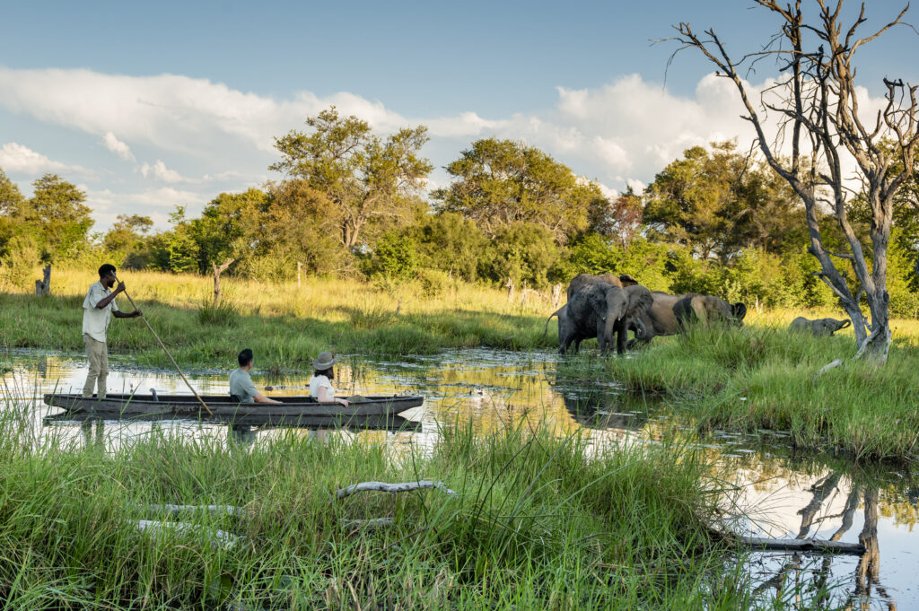 Botswana Safari Safety header