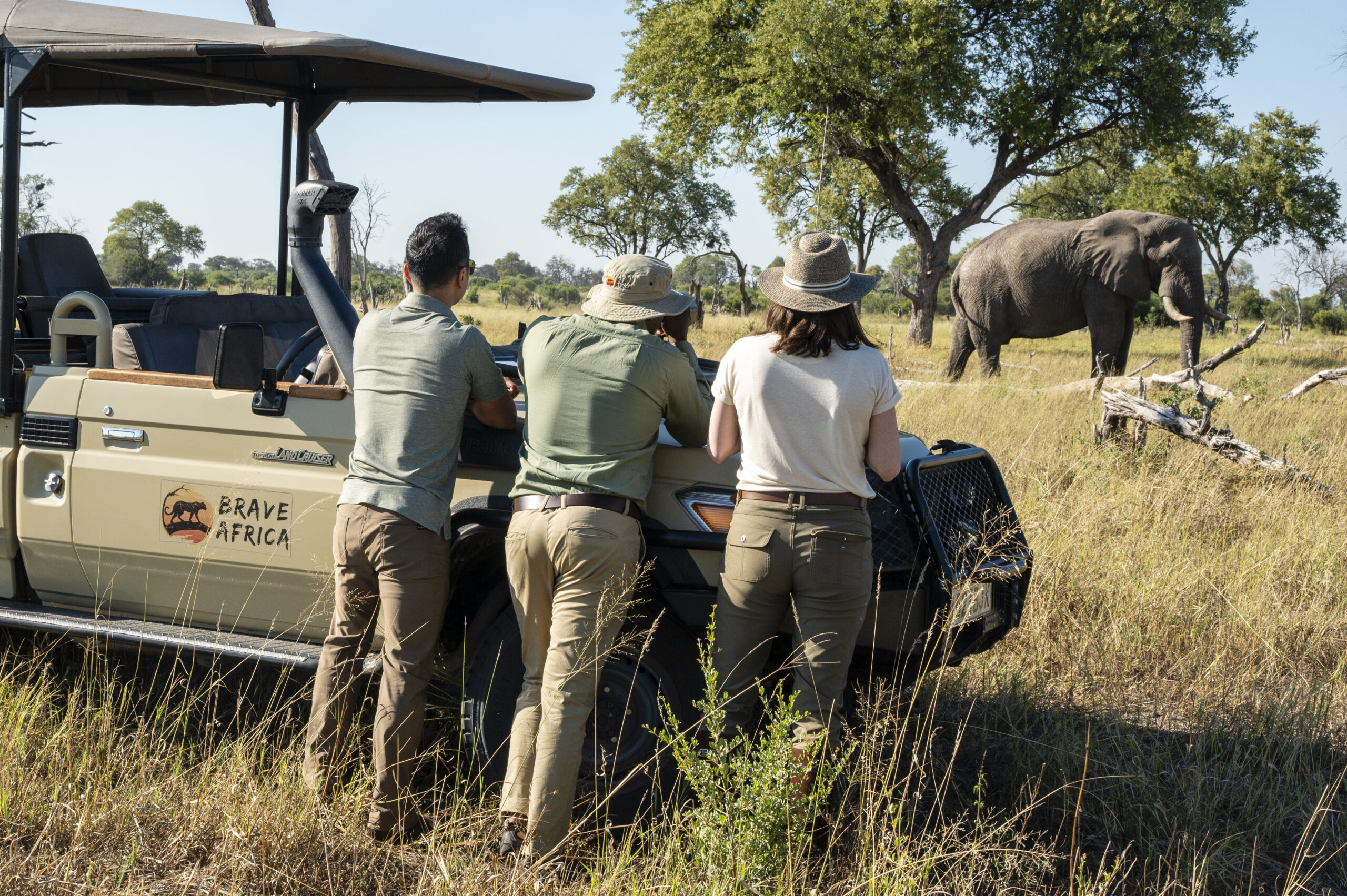 safari guests safety