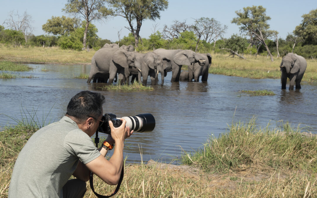 12 Tips for Safari Photography