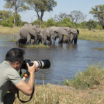 tips for safari photography