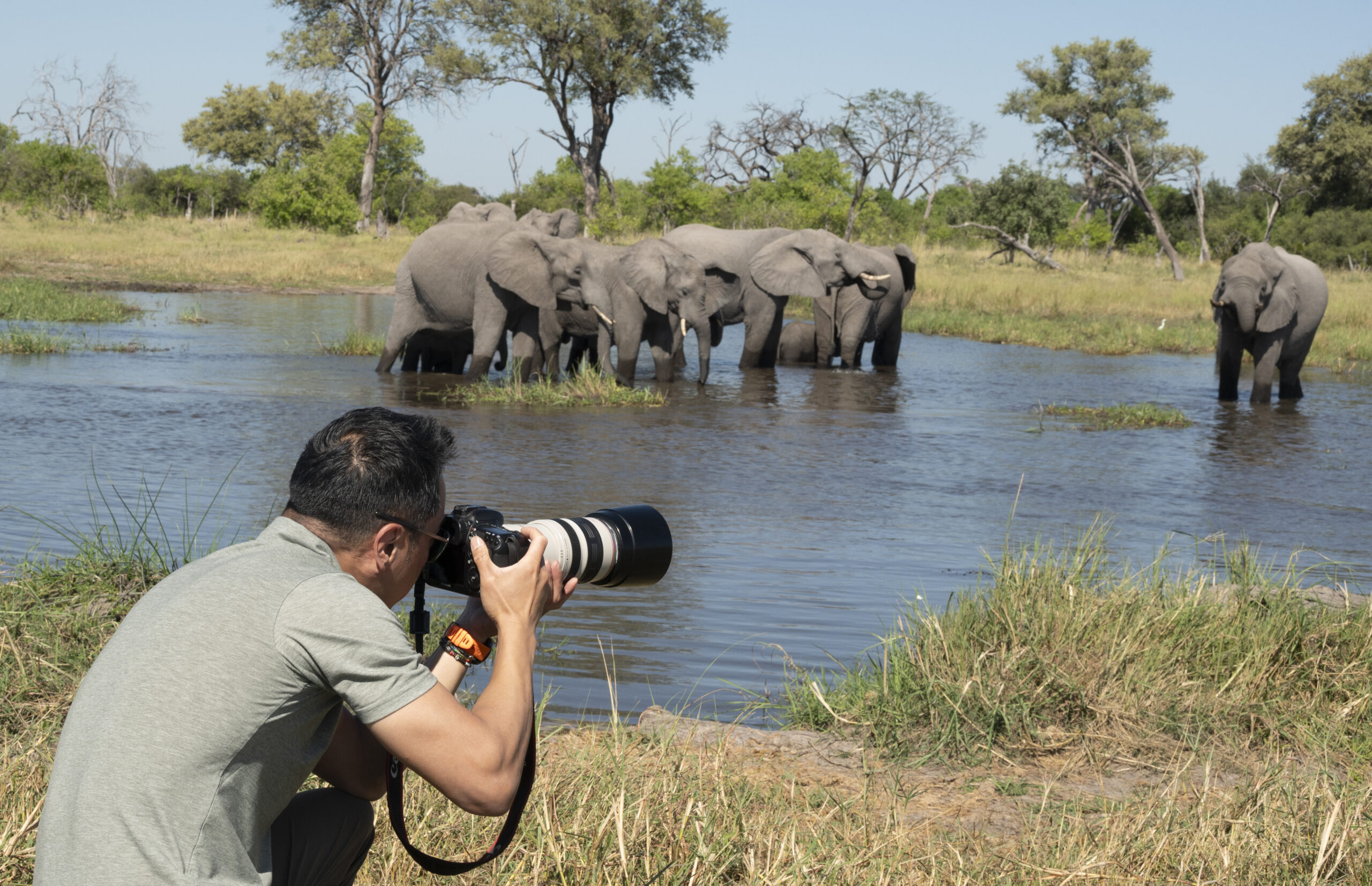 tips for safari photography