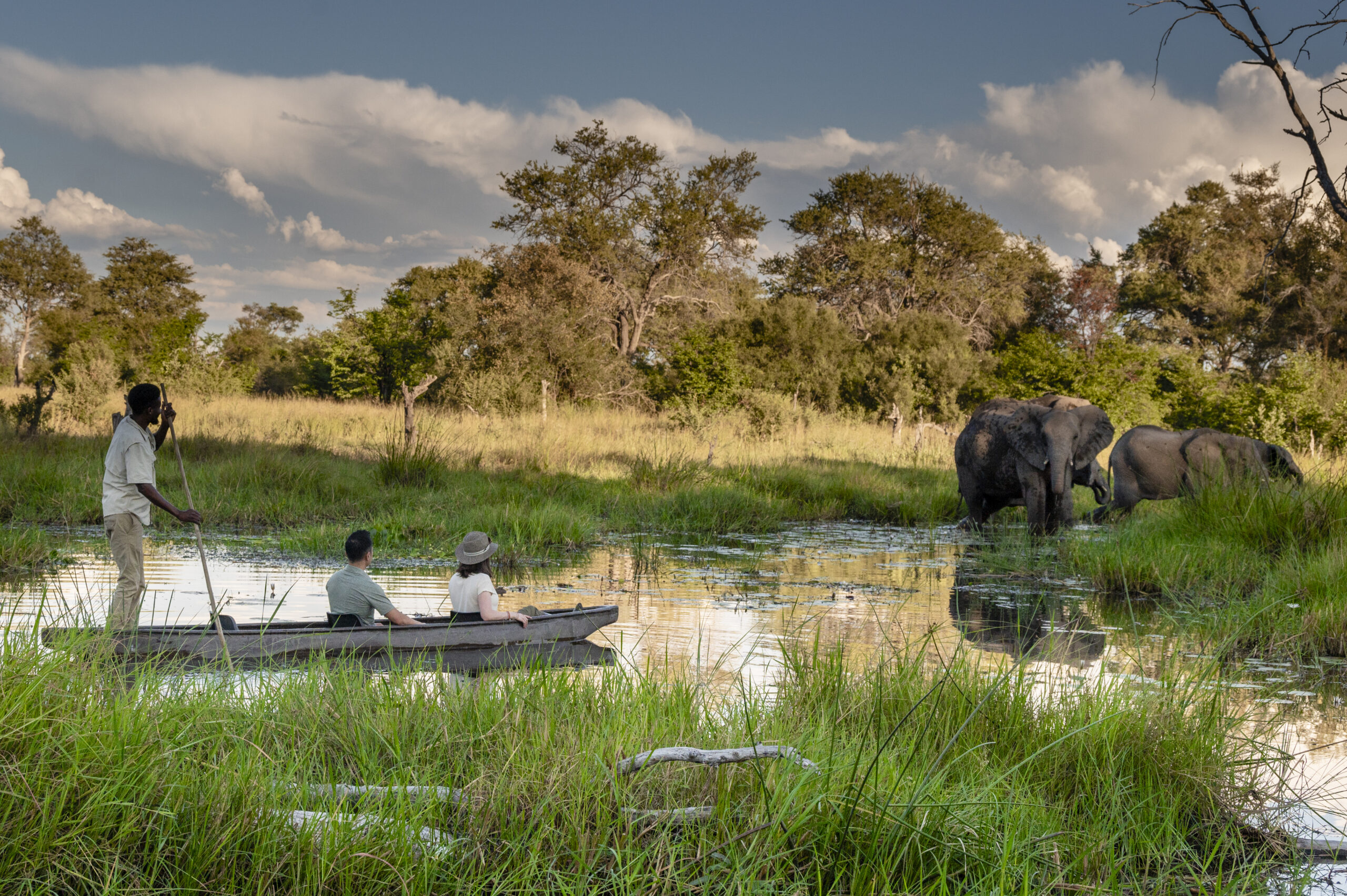 Khwai Botswana