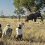 African Safari Cost Header