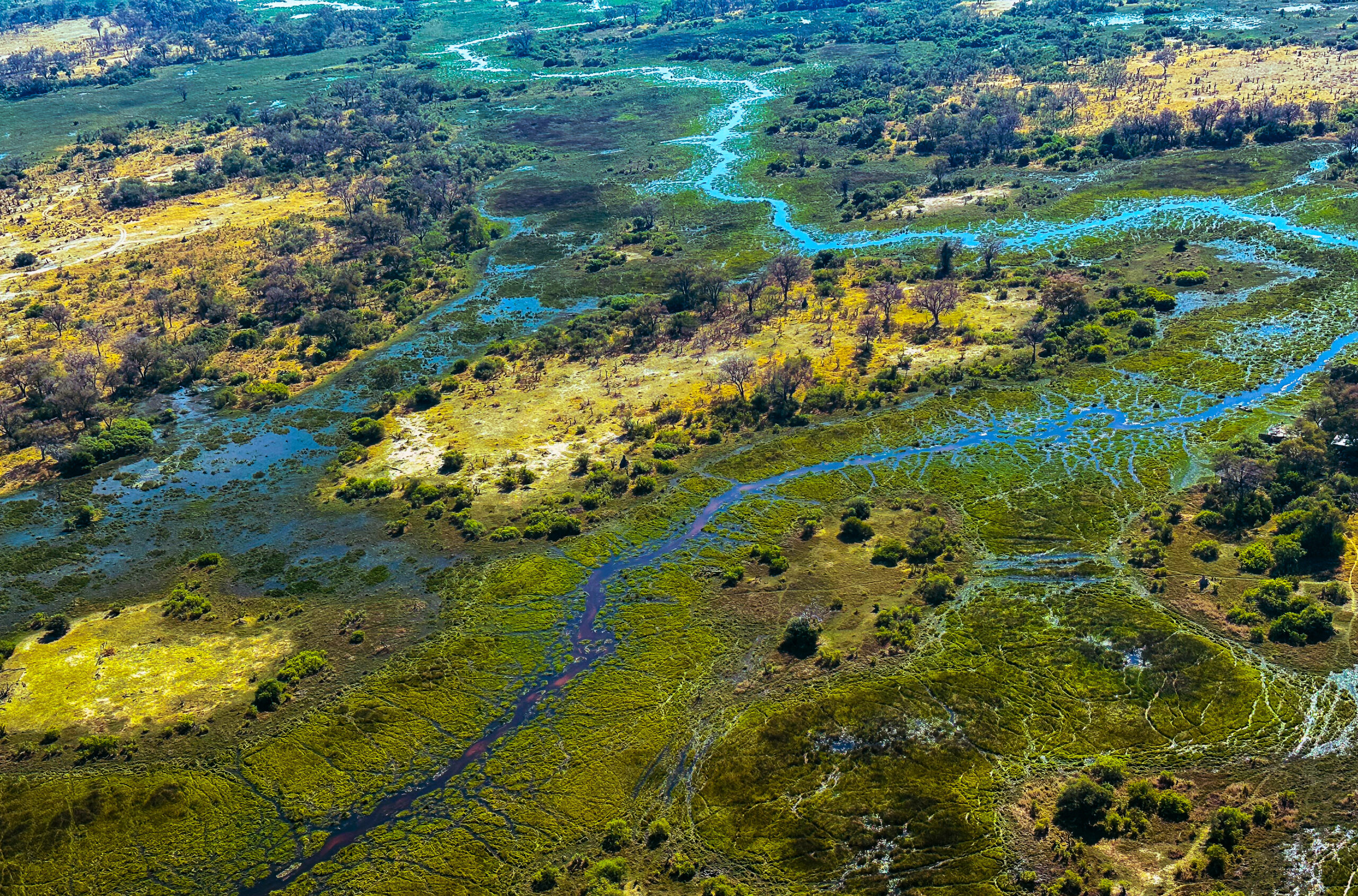 Okavango Delta Flood October