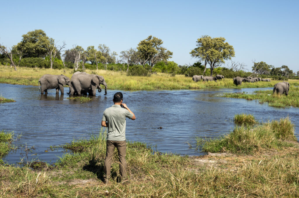 Go on safari in June 2026