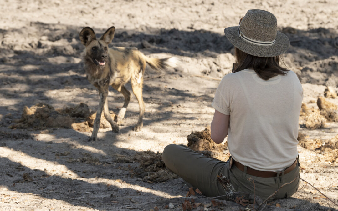 2026 June Safari Special — 10% Discount!