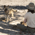 2026 June safari special