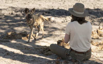 2026 June Safari Special — 10% Discount!