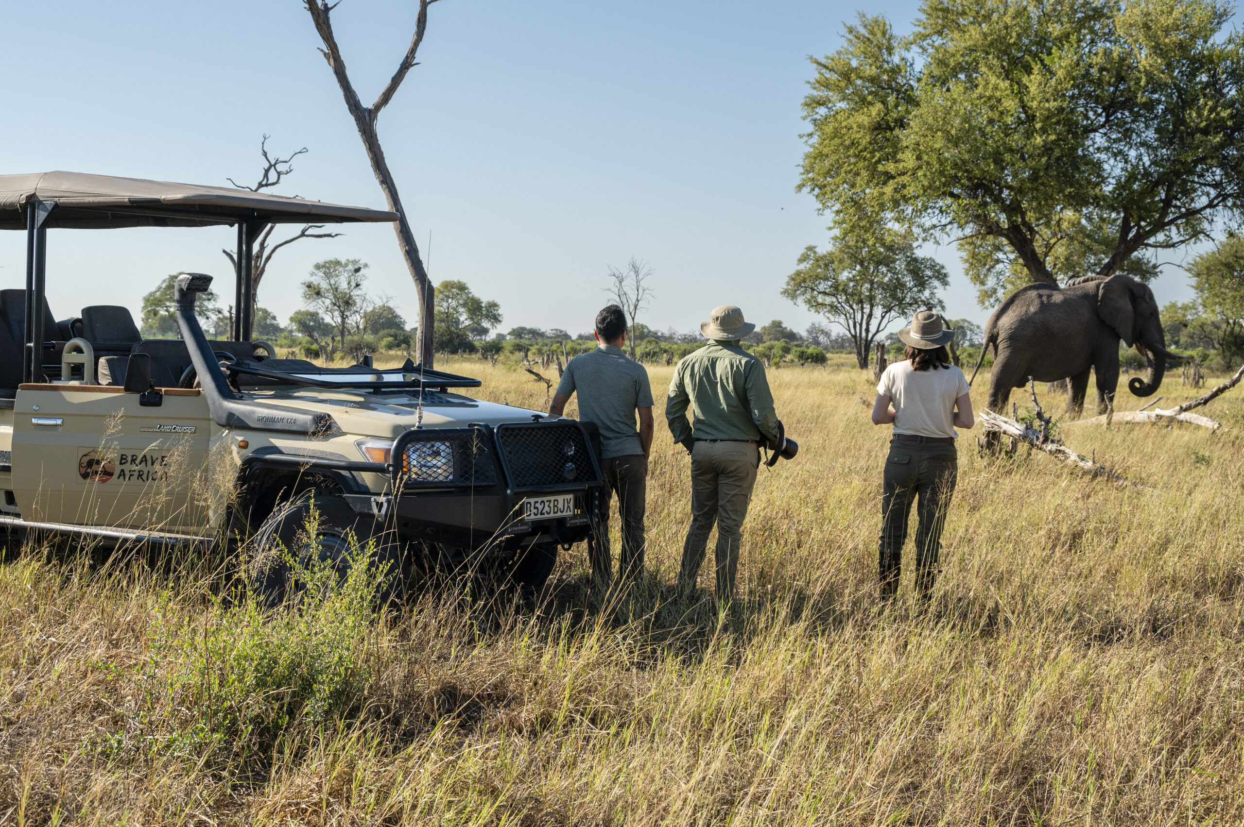 Summer Safari Specials