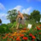 Lokahigardensanctuar Avatar